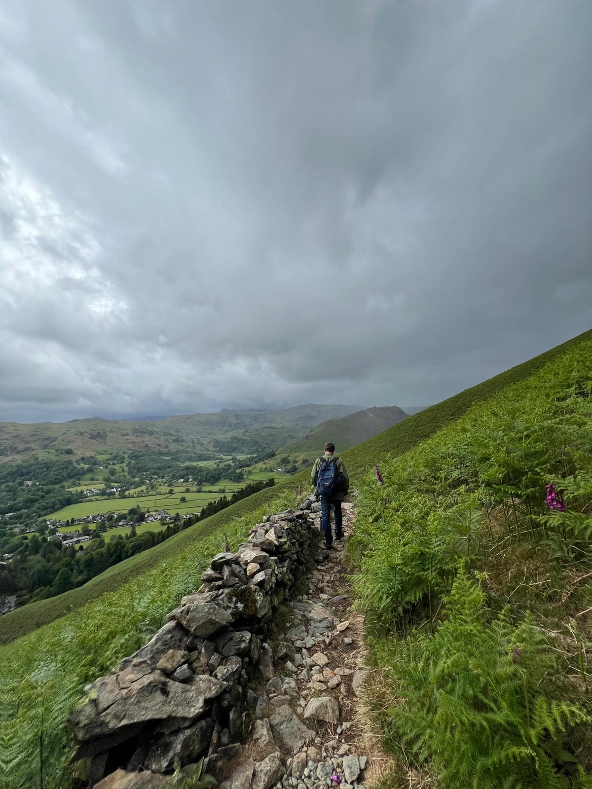 A walker following a stone path across a green hillside